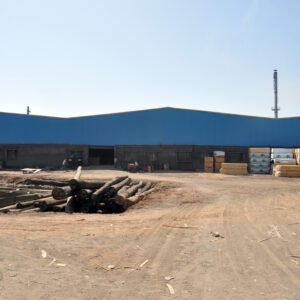 Industrial Structure